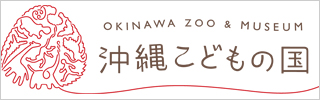 沖縄こどもの国 - Okinawa Zoo & Museum　https://www.okzm.jp/
